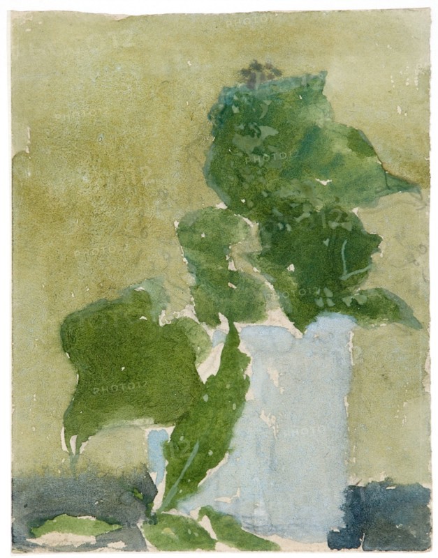 'Lilies of the valley in jug', 1896-1939. Artist: Gwendolen Mary John