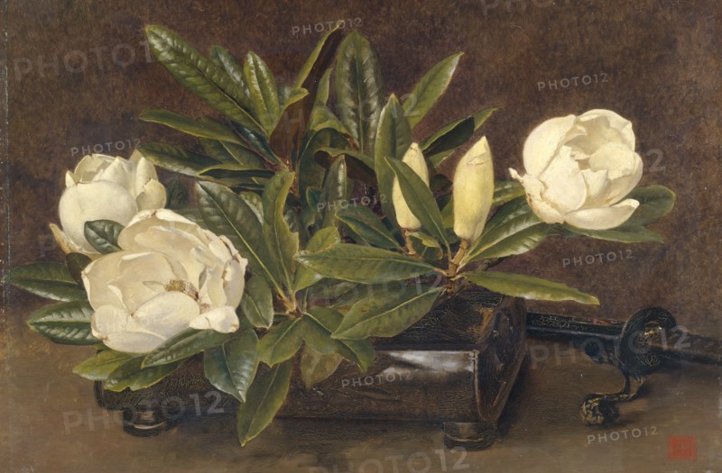 'Magnolias', 1867-1920. Artist: Alfred William Parsons.