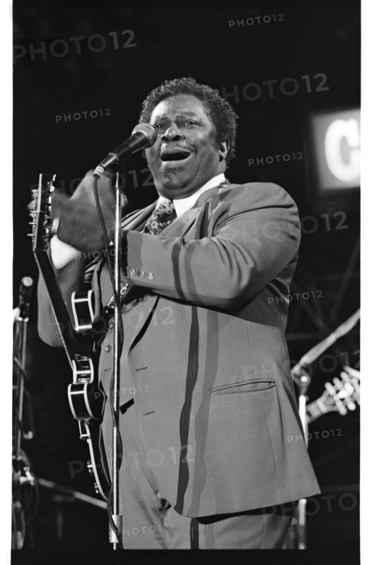 B.B. King, Capital Jazz, Knebworth, 1982.   Artist: Brian O'Connor.