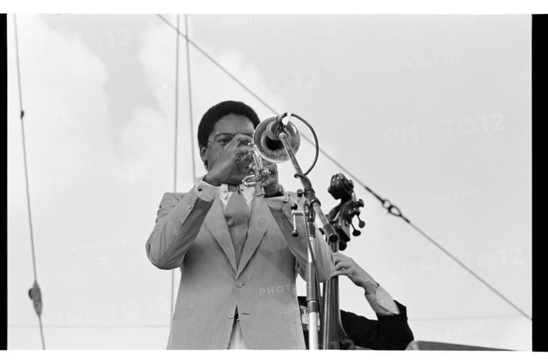 Wynton Marsalis, Knebworth, 1982.   Artist: Brian O'Connor.