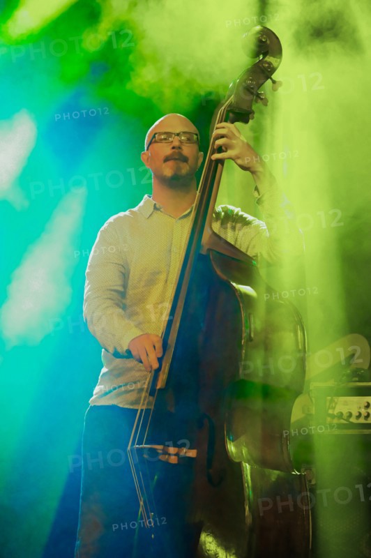 David Whitford, Love Supreme Jazz Festival, Glynde Place, East Sussex, 2015. Artist: Brian O'Connor.