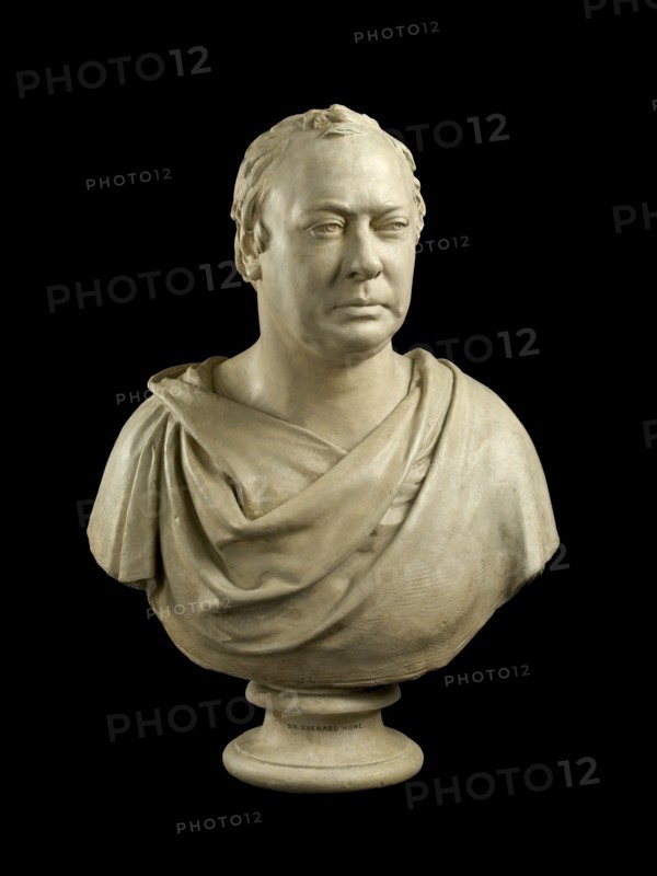 Bust of Sir Everard Home Bt, (1756-1832), 1815-1816. Artist: Francis Legatt Chantrey.