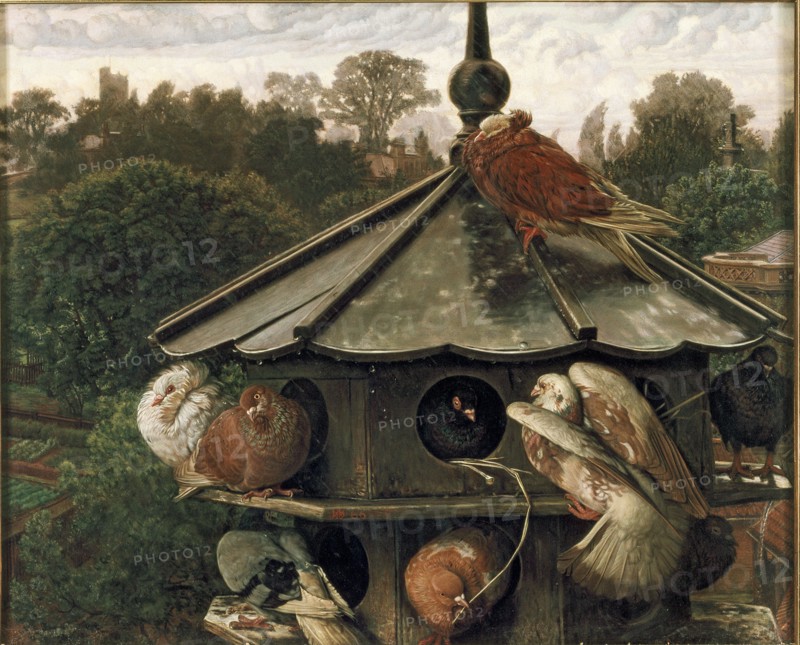 The Festival of St Swithin (The Dovecot), 1865-1866. Artist: William Holman Hunt.