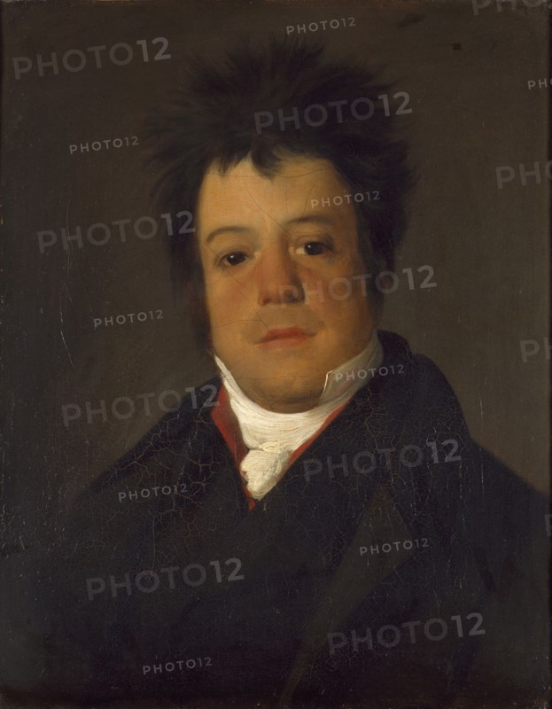 Adriao Ribeiro Neves, 1825. Artist: Domingos Antonio de Sequeira.