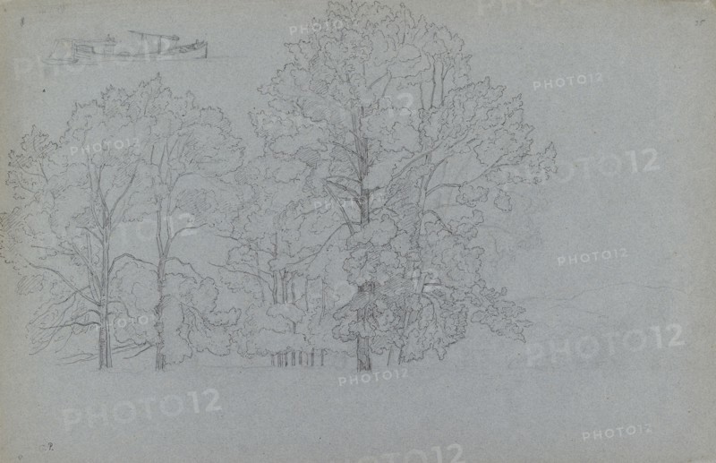 Study of trees, with a slight study of a barge, 1859. Artist: Camille Pissarro.
