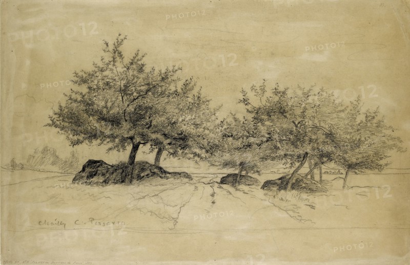 Chailly, c1859. Artist: Camille Pissarro.