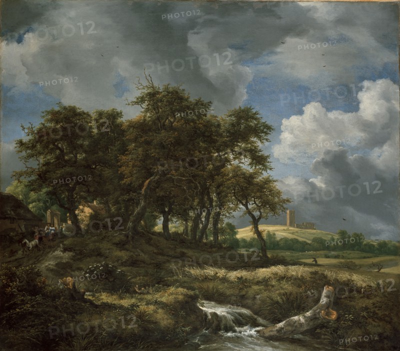 Landscape near Muiderberg, early 1650s. Artist: Jacob van Ruisdael.