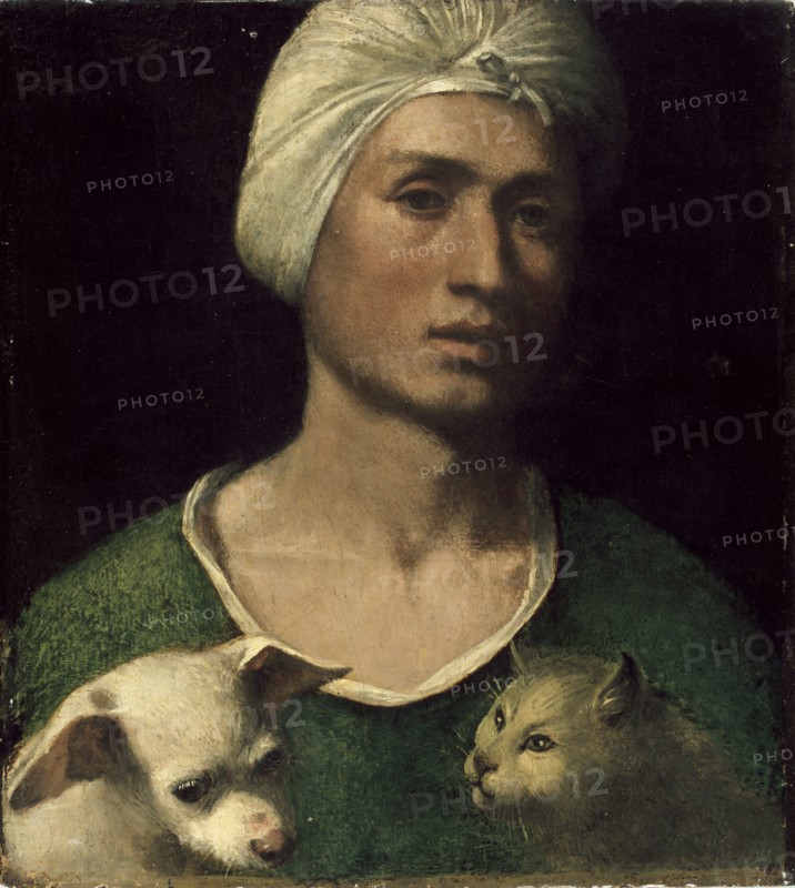 Portrait of a young Man holding a Dog and a Cat, c1530s. Artist: Dosso Dossi.