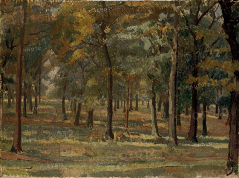 Richmond Park, 1914. Artist: Spencer Gore.