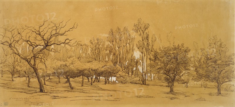 View of an Orchard at Saint-Denis, mid 19th century Artist: Charles Francois Daubigny.