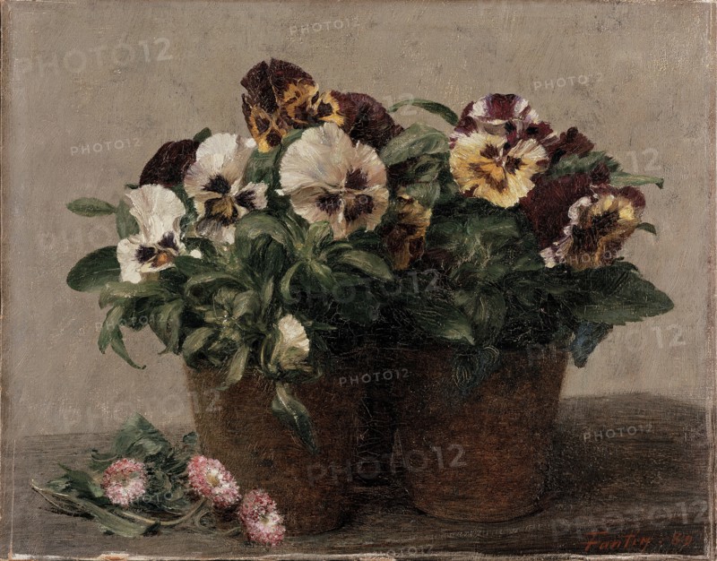 Still Life: Pansies and Daisies, 1880. Artist: Henri Fantin-Latour.