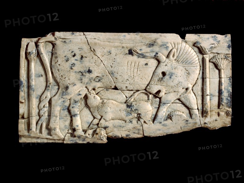 Ivory plaque, c9th-8th century BC. Artist: Unknown.