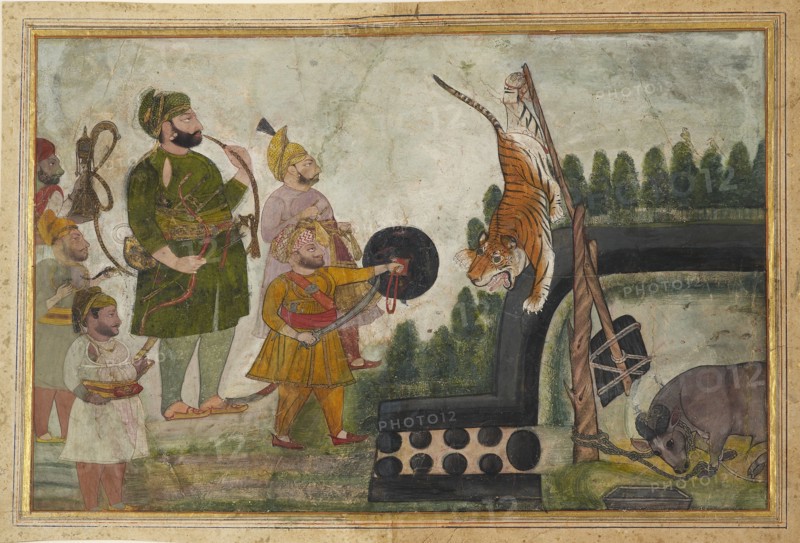 Rawat Gokul Das inspects a trapped tiger, 1810-1815. Artist: Chokha.