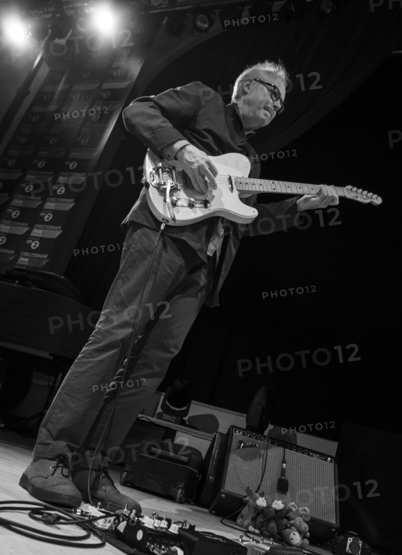Bill Frisell Artist: Alan John Ainsworth.