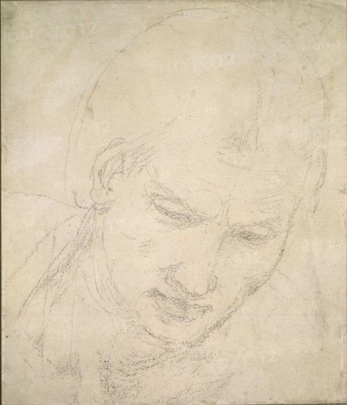 Study of a Head, c1490-1560. Artist: Michelangelo Buonarroti.