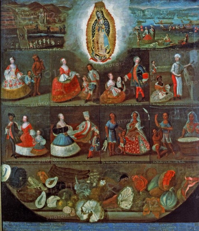 'Virgin of Guadalupe', together with the Virgin the various possible crossbreedings of American ?