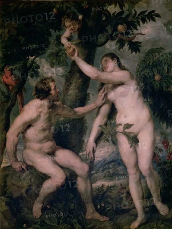 Painting by Peter Paul Rubens (1577 - 1640) 'Adam and Eve', copy of Titian's painting, kept in th?