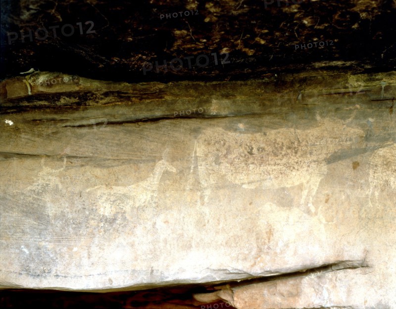 Cave paintings in the Abrigo del Navazo.