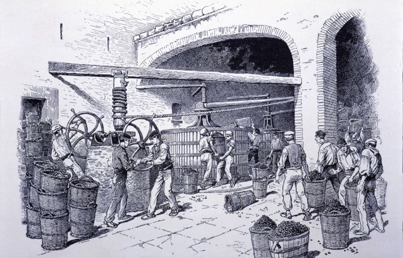 Detail of hand-presses at a winery, engraving, 1900.