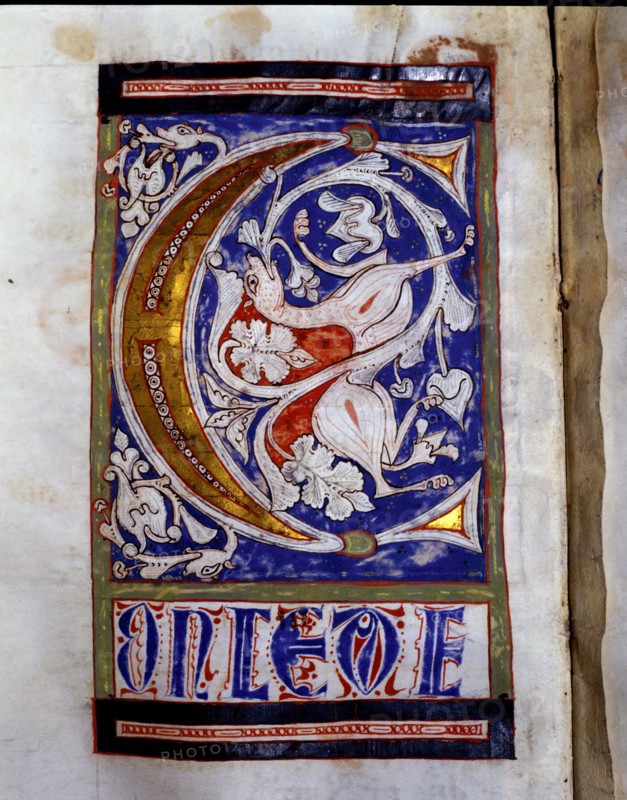 Drop cap 'C' illuminated with a quadruped and floral motifs in the 'Sacramentary of San Juan de l?