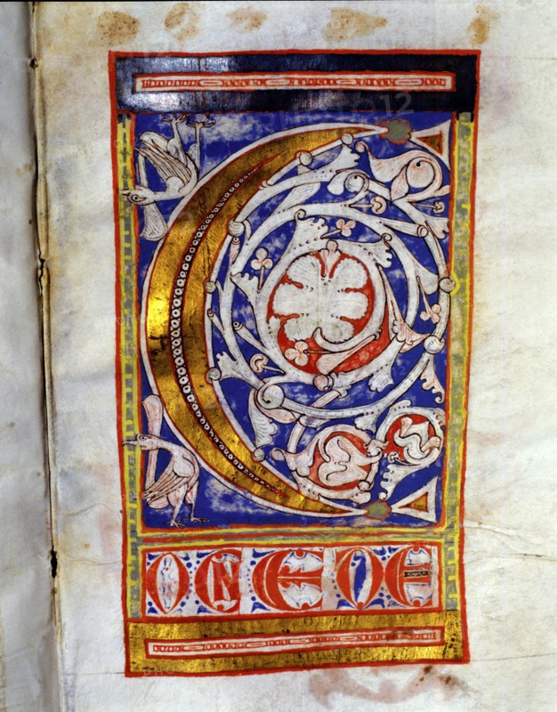 Drop cap 'C' illuminated with two birds and lush floral decoration, manuscript on parchment made??