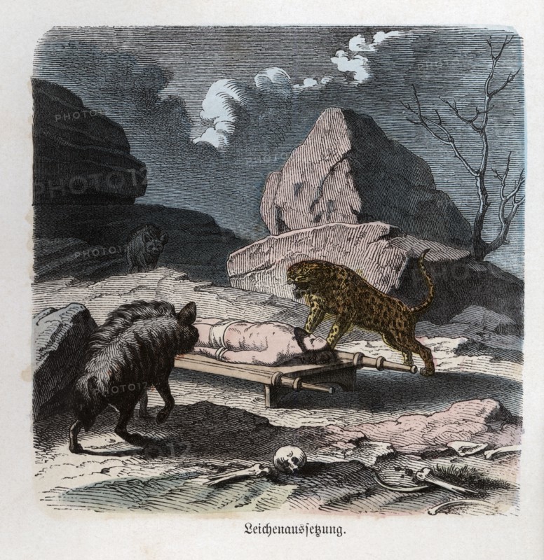 Ancient History. Persia. Abandonment of a corpse to the beasts. German engraving, 1865.
