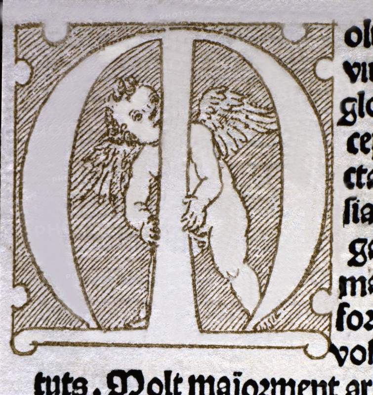 Initial Letter of the dedicatory <Molt exelent virtuos e glorios.> pertaining to the work 'Tirant?