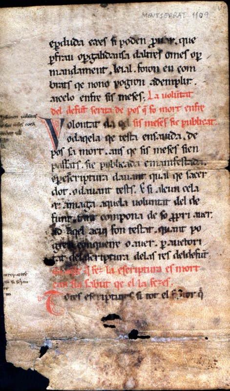Forum Indicum, a manuscript translated to a perfectly constructed Catalan language, this text pre?