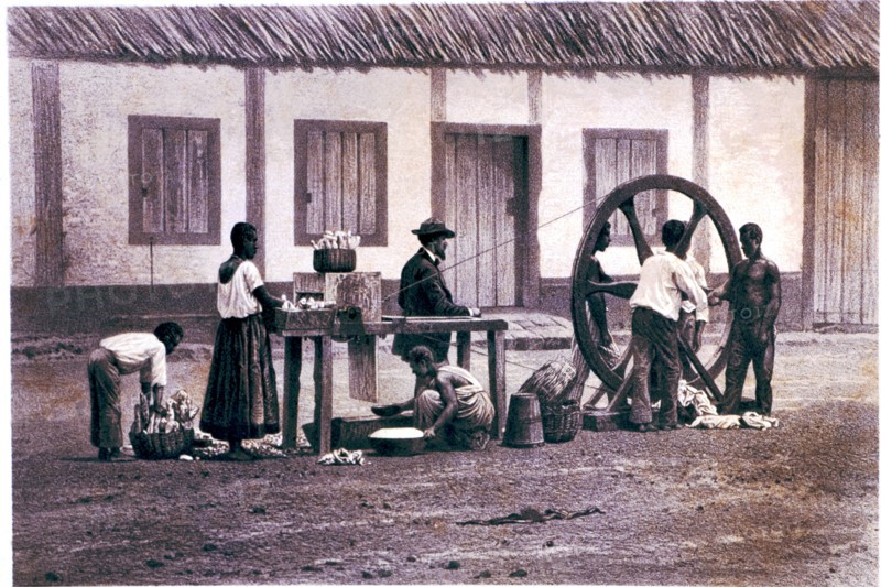 The cassava mill, work in a farming plantation with slaves, lithograph.