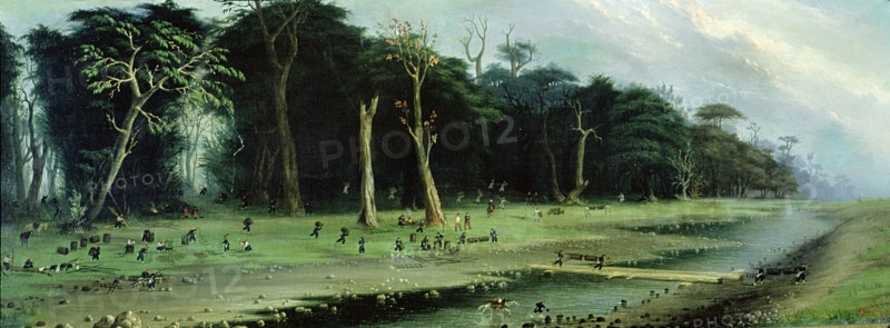 Soldiers cutting branches near a river.