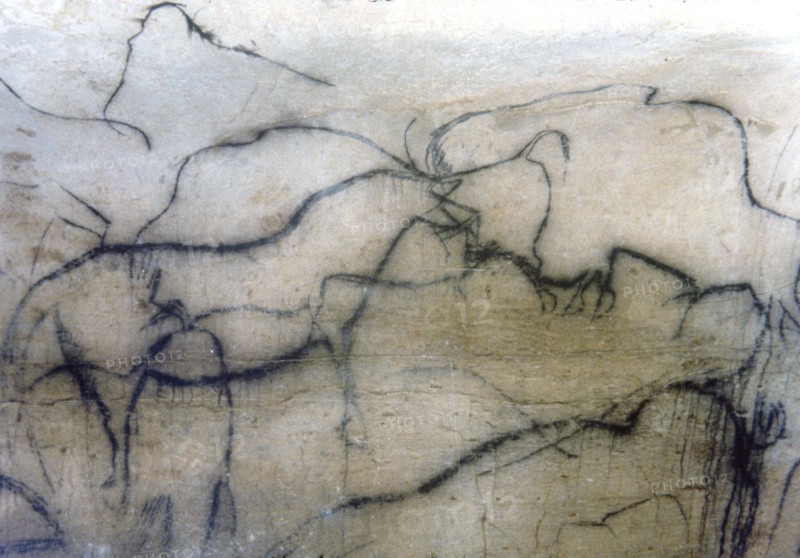 Chapel of mammoths (Pech-Merle Cave): black horse and bisons, they have been represented by the p?