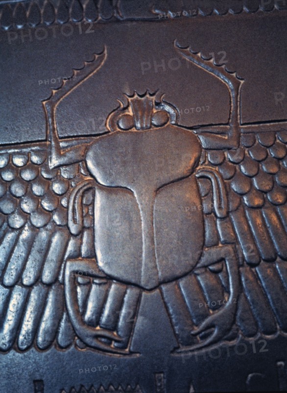 Detail of a relief of a beetle in the sarcophagus of the vizier Ghemenef - Har - Bak.