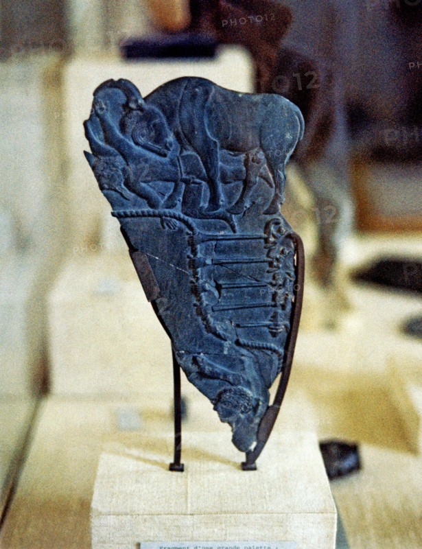 Fragment of a palette with images of a bull charging at an enemy, it comes from Abydos, made in s?