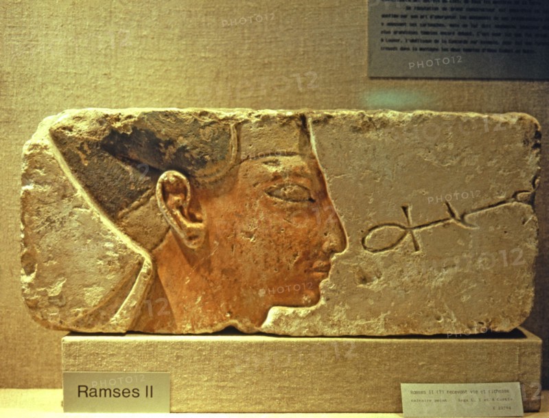 Ramesses II receiving life and wealth, fragment showing only the head, made in polychromed limest?