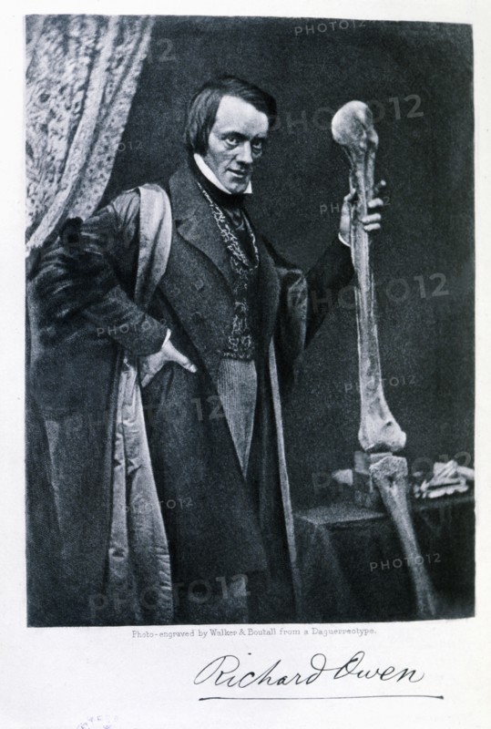 Richard Owen (1804-1892), English zoologist and anatomical, curator of the Royal College of Surge?