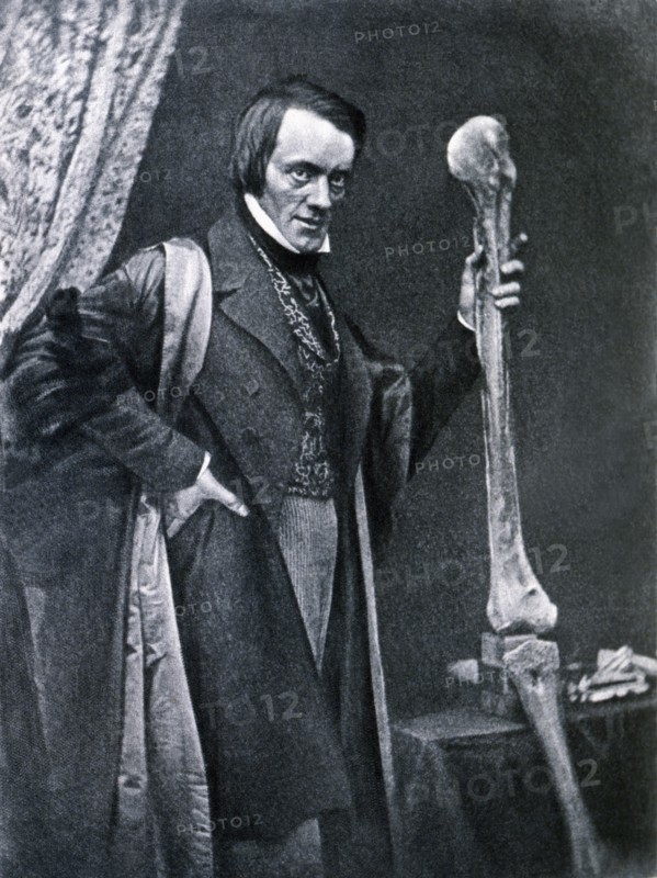 Richard Owen (1804-1892), English zoologist and anatomical, curator of the Royal College of Surge?