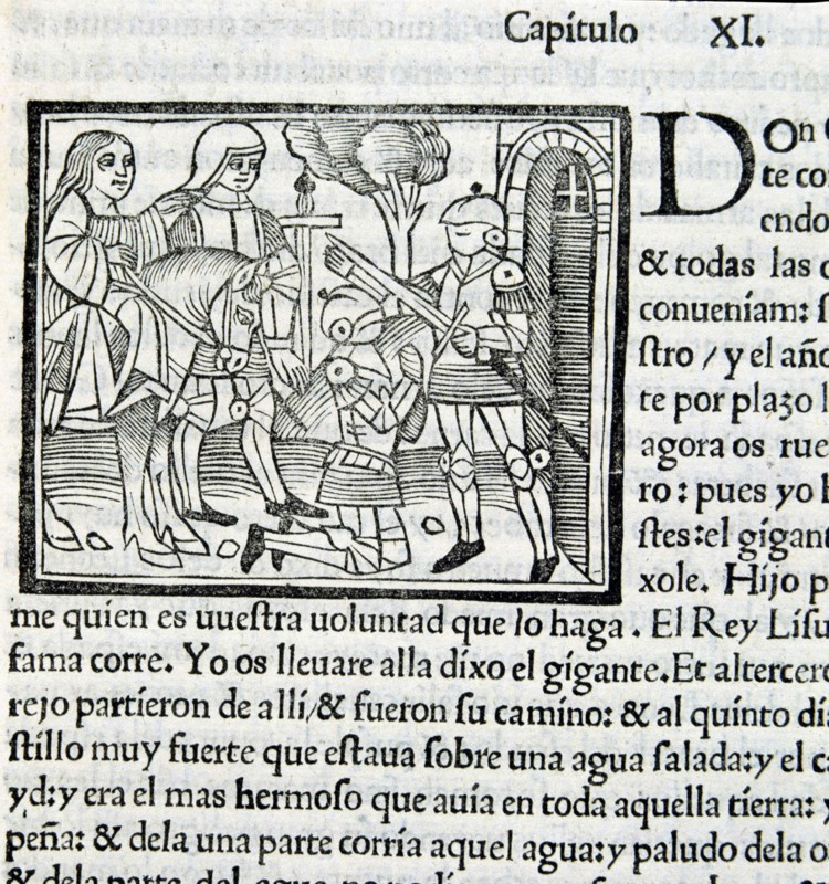Amadis de Gaula, a masterpiece of medieval literature of 16th century, page of an edition of 1533.
