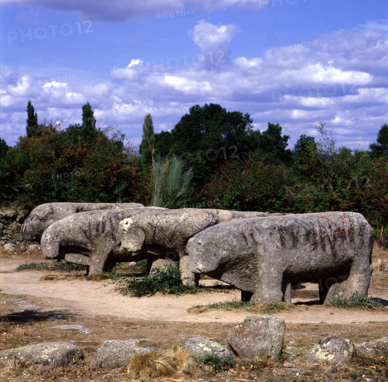 Bulls of Guisando, stone sculptures from the Celtiberian culture.