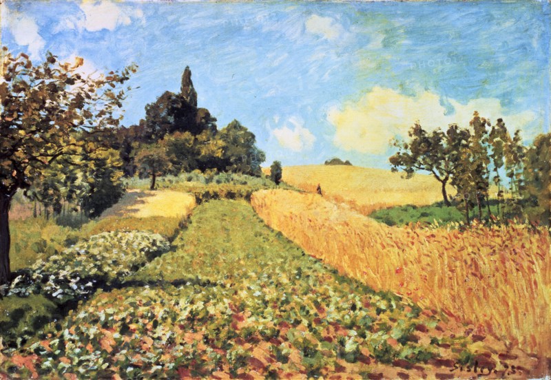'Wheat Field', oil Painting by Alfred Sisley.
