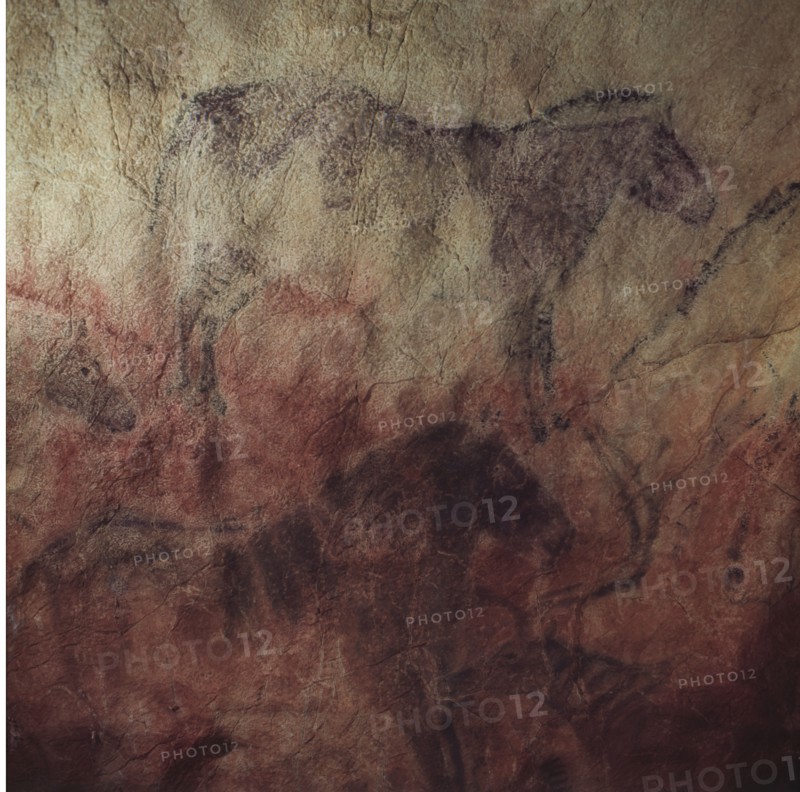 Detail nº5 of the large panel of the cave of Tito Bustillo (Ribadesella): on a red background the?