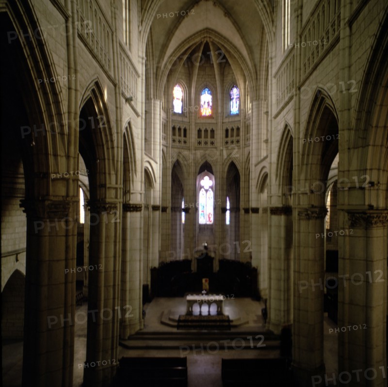 Detail of the interior nave of the old cathedral of Santa Maria de Vitoria, covered with rib vaults.