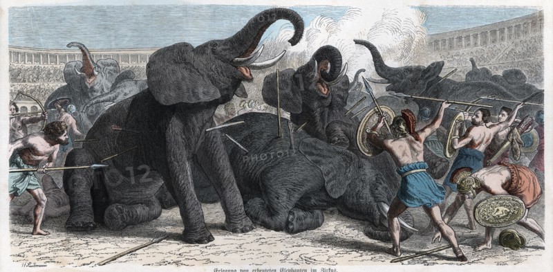 Combat between gladiators and circus elephants, engraving 1862.