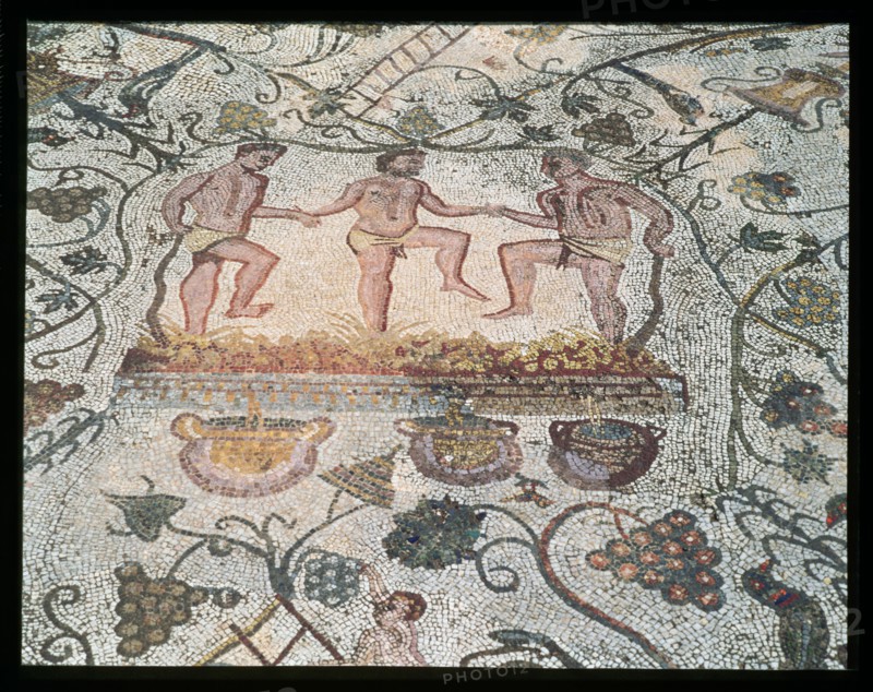 Ruins of Mérida, Roman house of the Amphitheater, detail of the mosaic with scenes of treading of?
