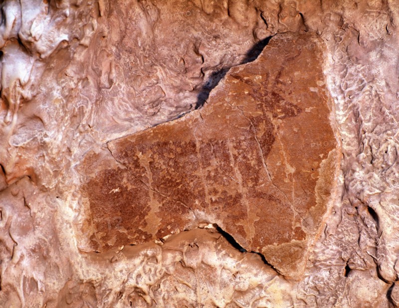 Deer lying on the right, Painted in red with spot colors. 37cms. Levantine Art, from the Canyon o?