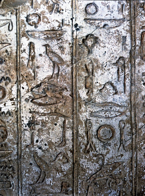 Detail of a hieroglyph which praises Aten.