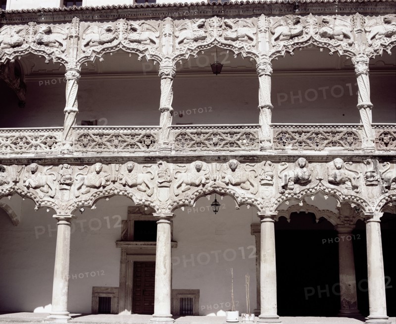 Detail of the ogee arches that form the galleries of the courtyard of the Palace of the Infantado?