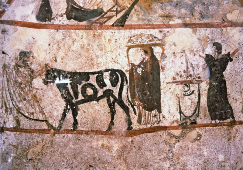 Priest on the way to a sacrificial altar. Picture in the Lucanian tomb at the Paestum Museum.
