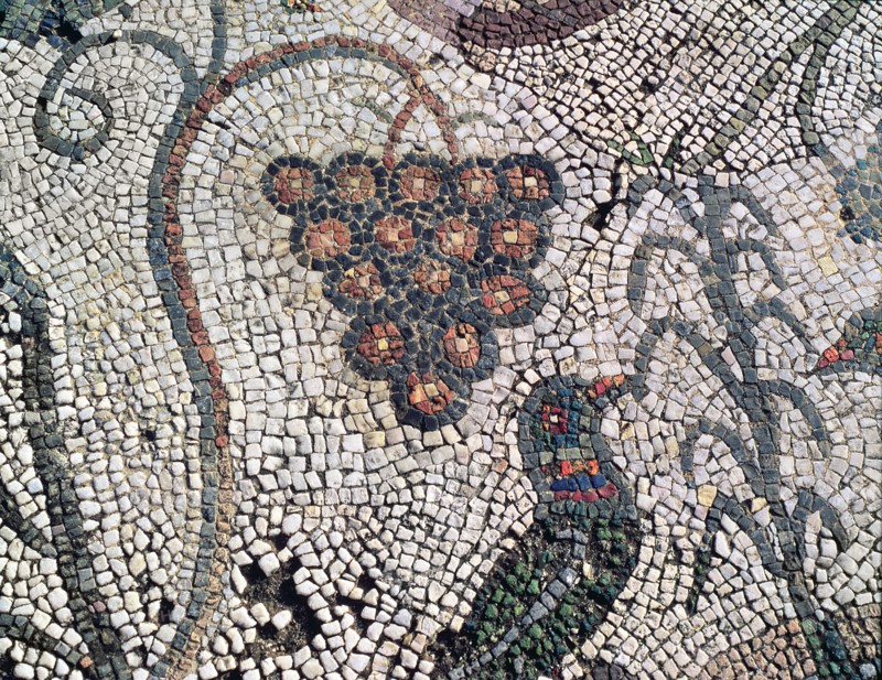 Mosaic in the Amphitheatre house representing a cluster of grapes and a bird, preserved in the ar?