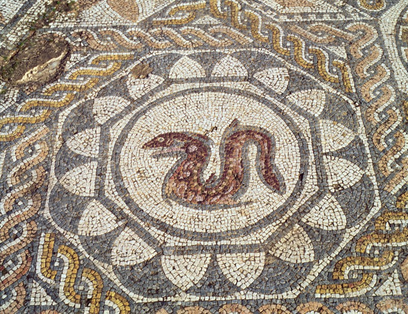 Mosaic in the Amphitheatre house representing a snake, preserved in the archaeological site of Me?