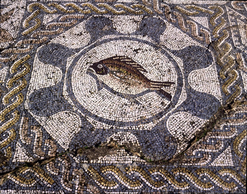 Mosaic in the dining room of the Amphitheatre house representing a fish, preserved in the archaeo?